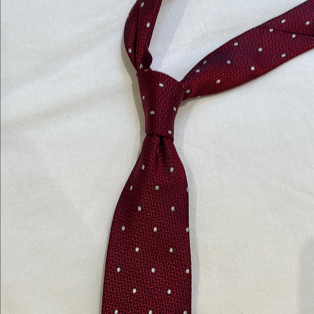 Elegant Burgundy Polka Dot Tie